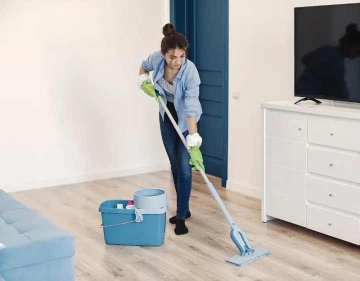 Femme de ménage Engenville